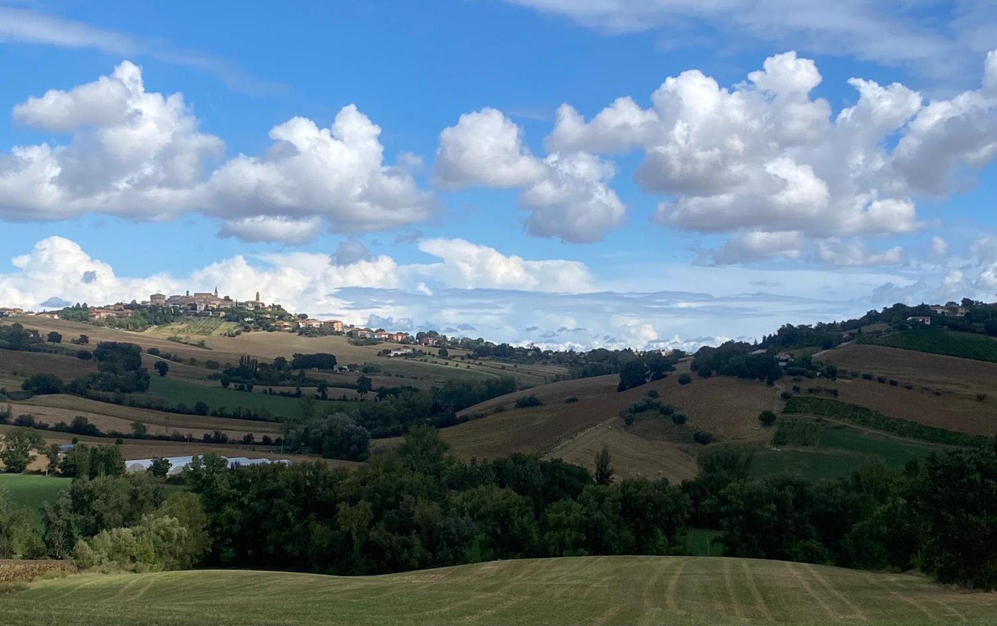 Villa Edelia Mondavio Bagian luar foto